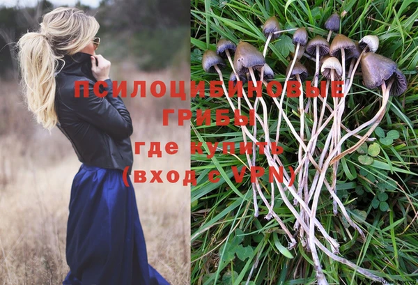 МДПВ Бугульма