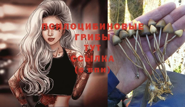 мет Бородино