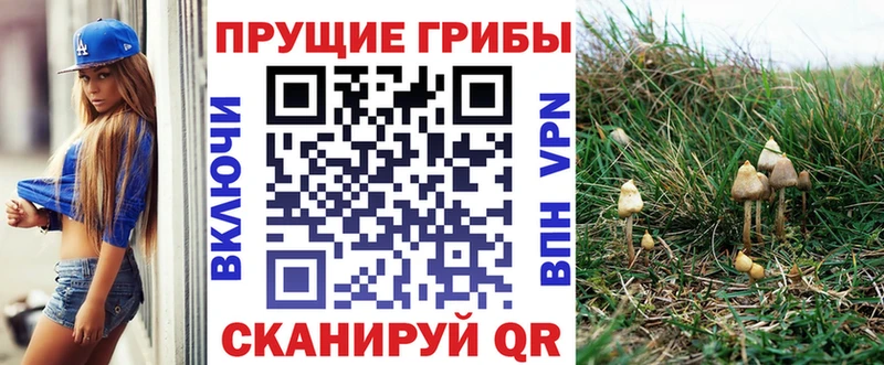 Псилоцибиновые грибы Magic Shrooms  Навашино 